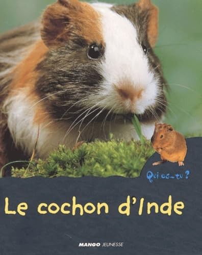 Cochon inde jonas anne - d'inde, jonas,