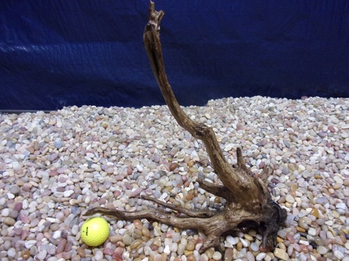Medium driftwood x12 - driftwood, 13"x12"x09"
