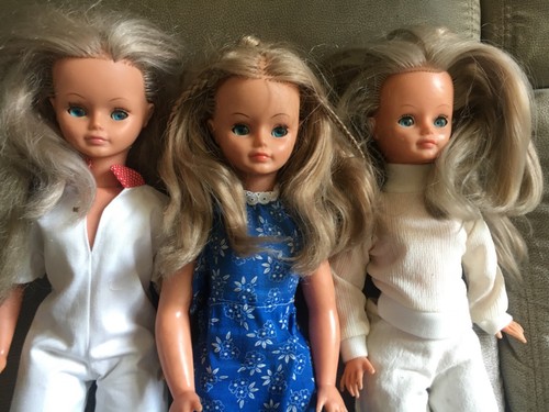 Lot poupée mannequin cathie - lot, 3