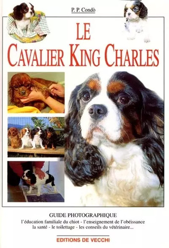Cavalier king charles - king,
