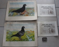 2 lithographies + 2 diplômes