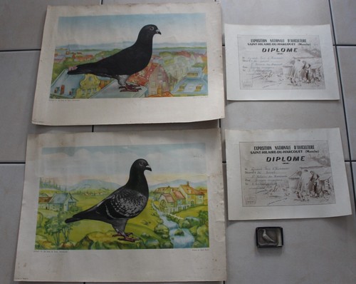 Lithographies 2 diplômes - 2,