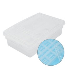  Couveuse Oeufs Boîte