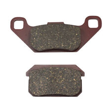 Plaquettes de Frein Sabots Mâchoires Roue Arrière PGO Bugrider 250 Straßenbuggy