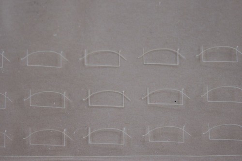 Saute vent transparent - fo,