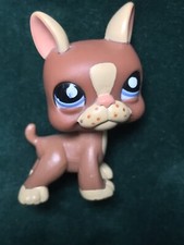 🌺Petshop DOG Boston Terrier