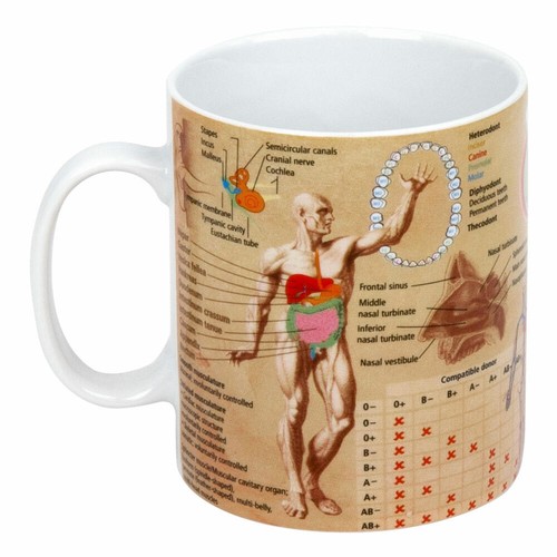 Könitz medicine knowledge - knowledge, mug