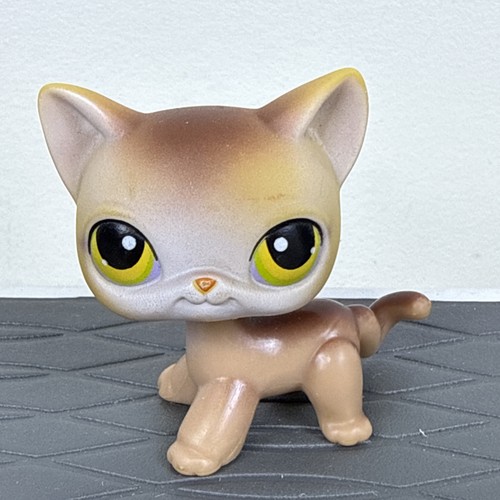 Lps littlest petshop - #19,