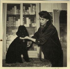 ANTIQUE PHOTO - VINTAGE SNAPSHOT - ANIMAL DOG POODLE GROOMING - DOG