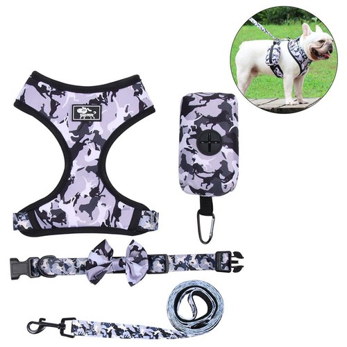 Harnais pour chien - ensemble, de