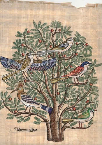 Arbre les oiseaux du - et,