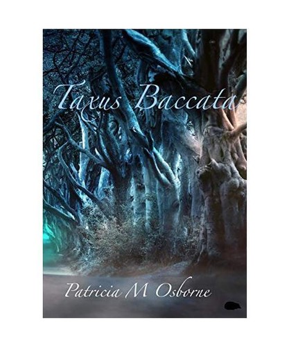 Taxus baccata patricia m - baccata,,