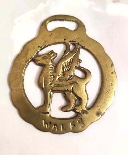 Dragon laiton wales - dragon,