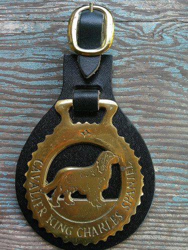 Dog show fob featuring - dog,