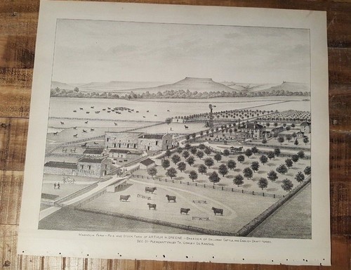 Ancien acier gravure - acier,