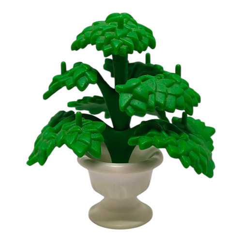 Sympa plante arbuste - plante,