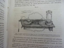 Medecine. TRAITÉ ÉLÉMENTAIRE DE PHYSIOLOGIE HUMAINE. J. Béclard 1862