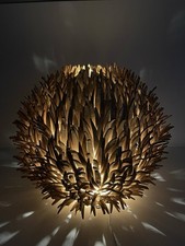 Sea Urchin Coconut Husk Table Lamp. Brazil. Eternity Collection.