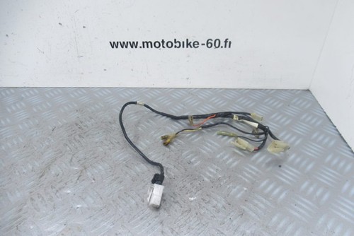 Faisceau electrique yamaha ttr - faisceau,