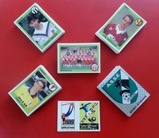 PANINI FRENCH ISSUE FOOT 1994