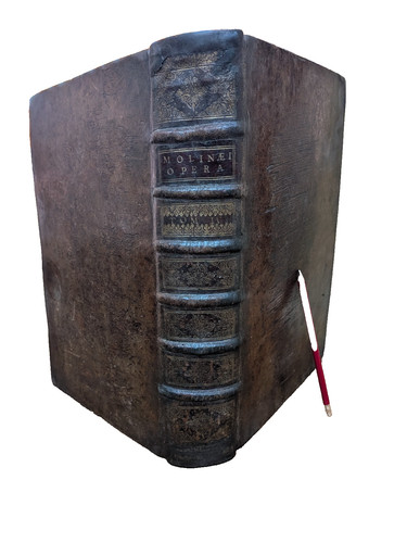 Livre ancien caroli molinae - livre,