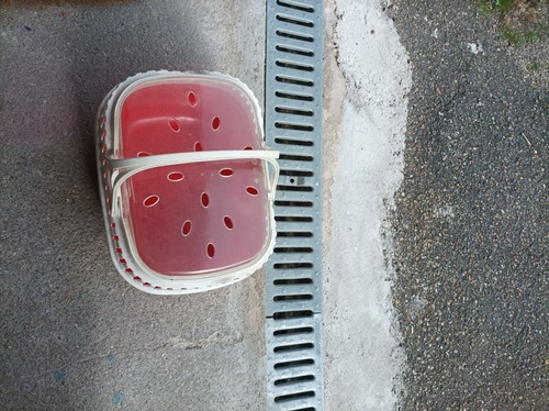 Cage transport pour petit - cage,
