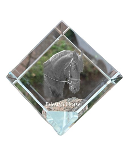 Cheval frison dé - frison,