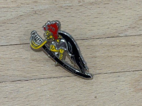Pins pin gendarmerie garde - ,