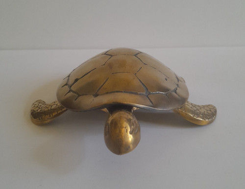 Tortue laiton - en,