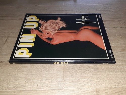 Livre pin aslan michel - pin-up,