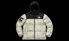 Supreme The North Face Paper