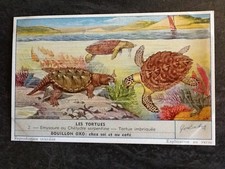 CHROMO LIEBIG SERIE LES