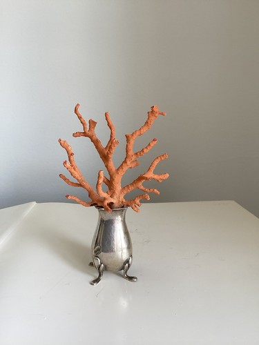 Branche corail rouge de - corail,