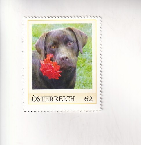 Timbre autriche chien - chien,