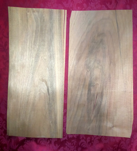 Noyer feuilles de placage - noyer:,