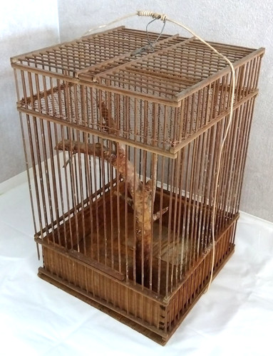 Ancienne cage oiseaux en - à,