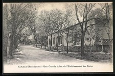 Old postcard Hammam-Meskoutine, Une Grande Allée de l'Etablissement des Bains 