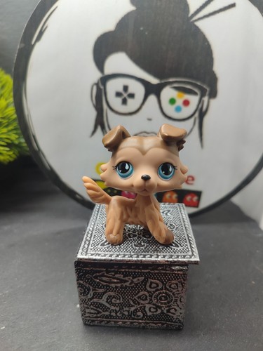 Lps1167 littlest petshop - lps1167, my
