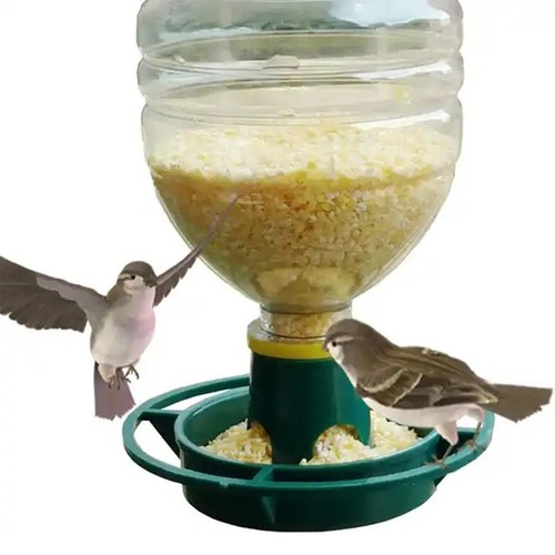 Kit mangeoire oiseaux sauvages