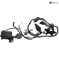 Faisceau electrique HONDA XLR