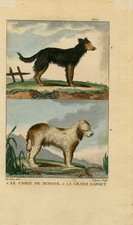 Antique Print-Dogs-The Beauceron and the big Barbet-Buffon-Seve-L'Epine-1822