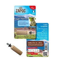 Appeau - Oiseau - Rossignol