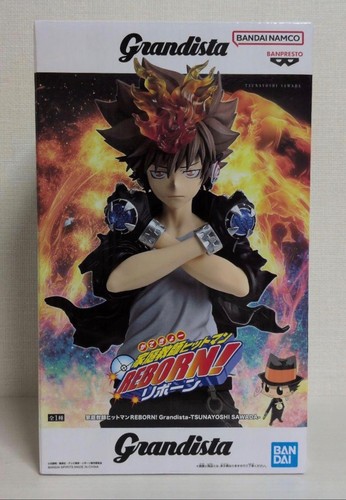 Katekyo hitman reborn - katekyo,