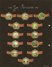 24 BAGUES DE CIGARE - LE ZOO D'ANVERS -