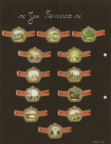 Bagues cigare le zoo - bagues,