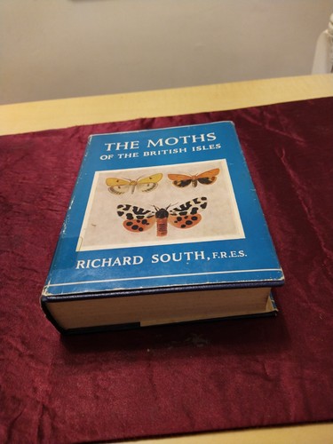 The moths - the, isles