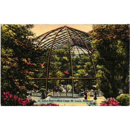 Vtg 1945 louis - zoo, bird