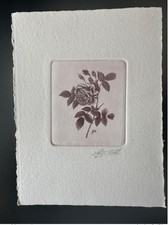 Belgique ? COB ?Epreuve