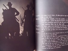 camargue manade cacharel