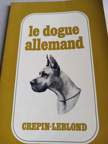 Dogue allemand de - le,